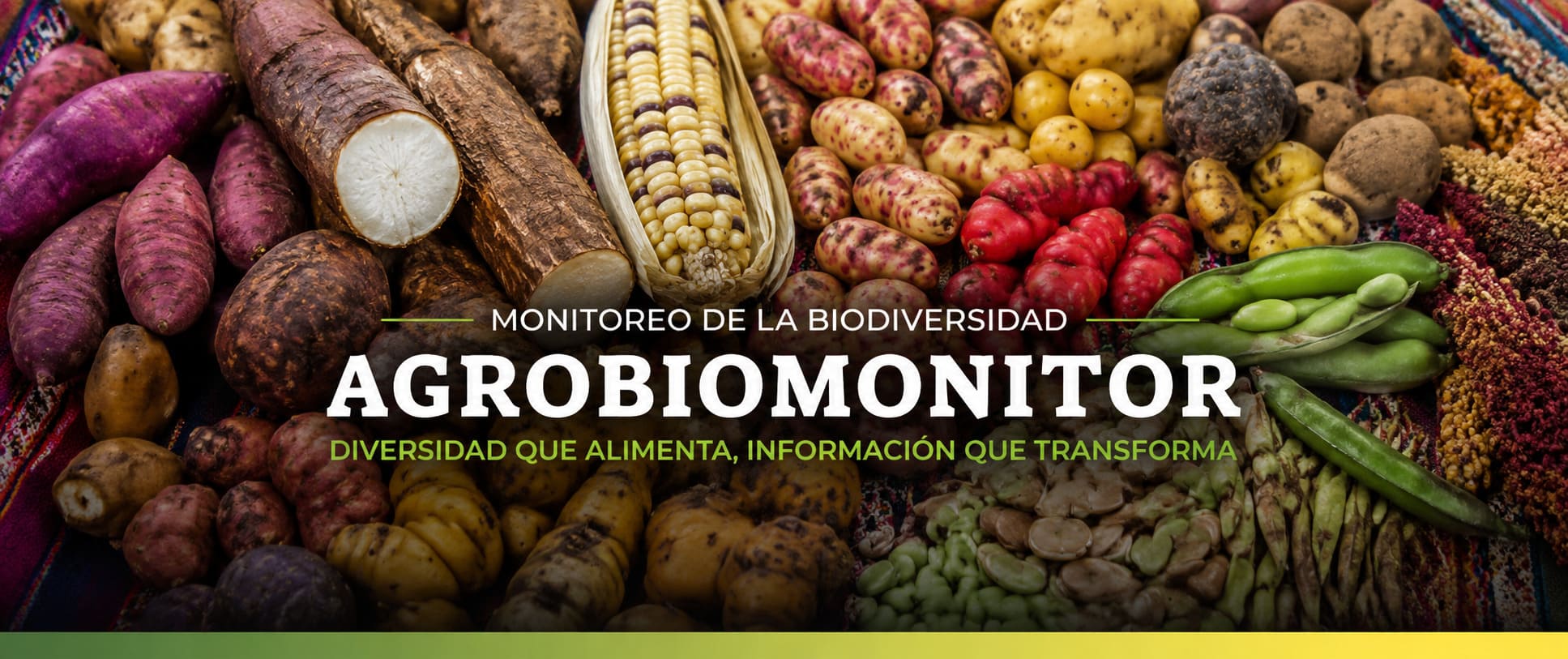 AgroBioMonitor - Monitoreo de la biodiversidad agrícola